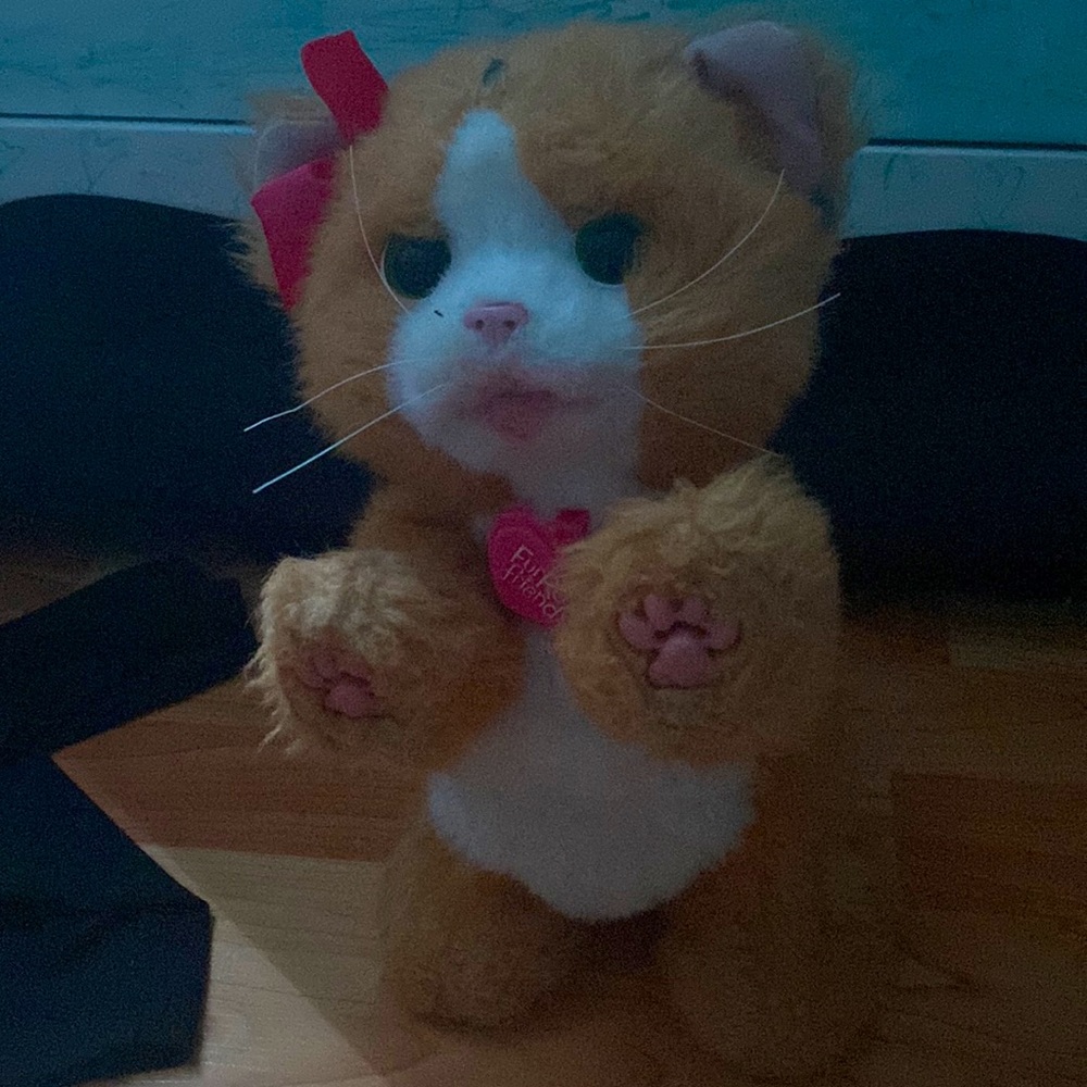 Furreal friend,it’s a cat ,the cats orange and it always meows and moves paws.